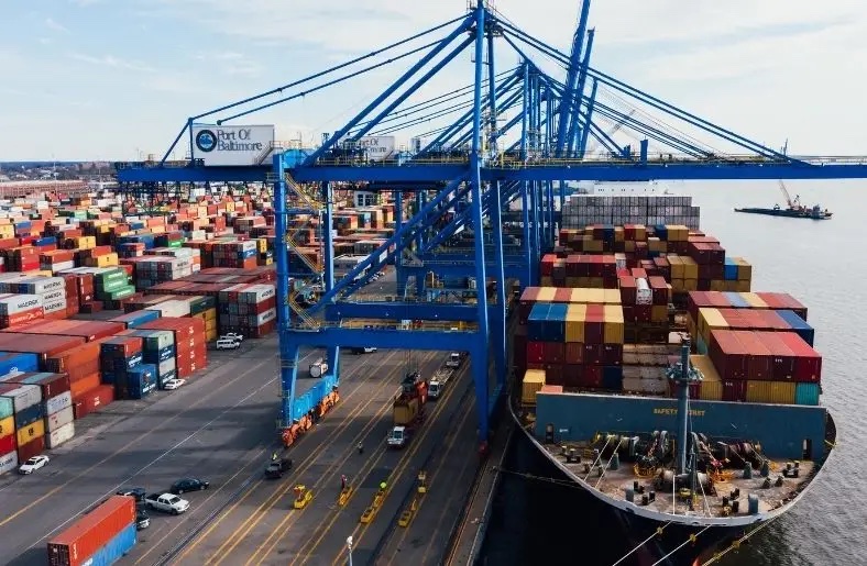 FSC Icon with a Forest in the Backgound