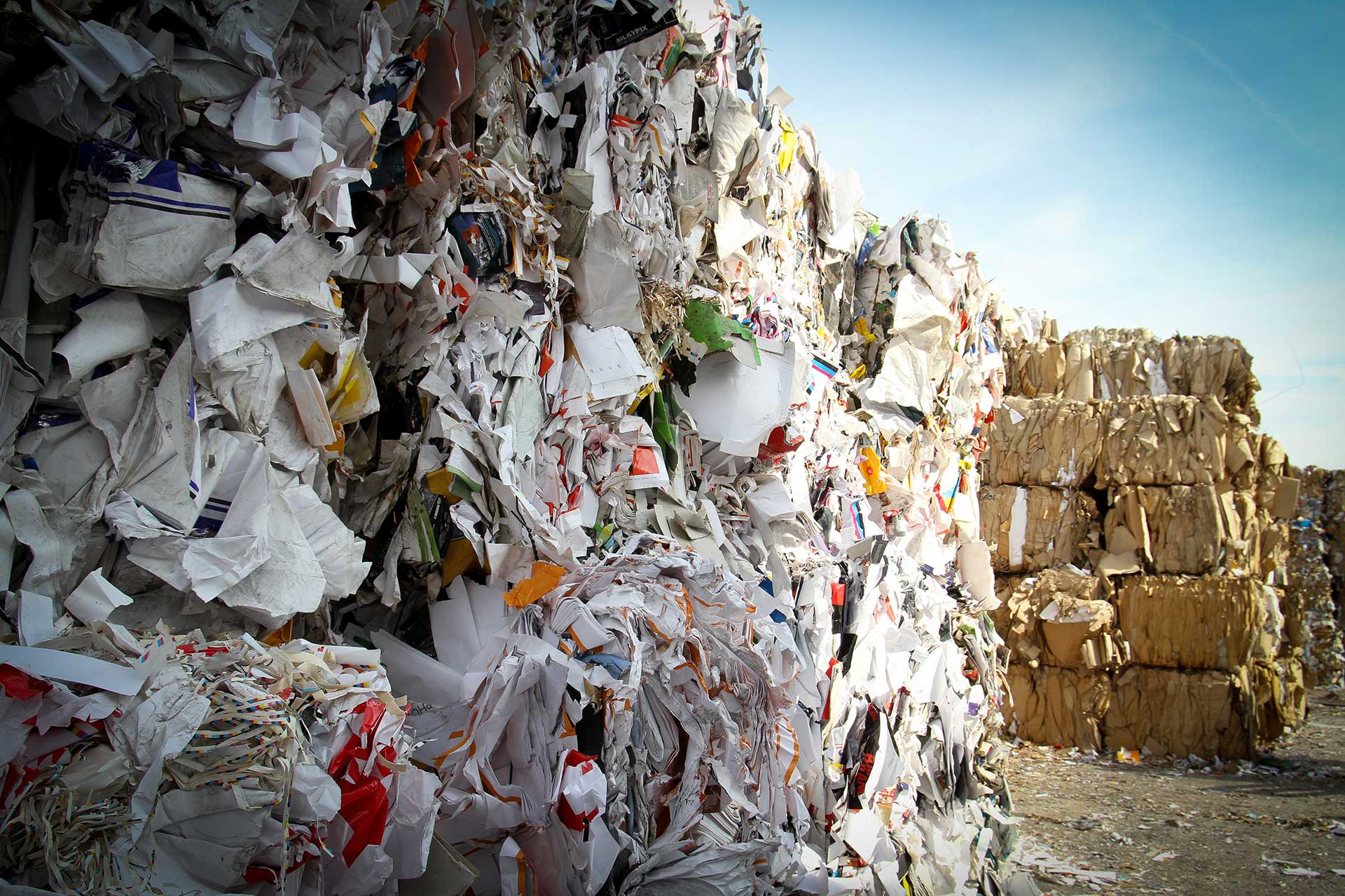 Recycled Paper at a Dock